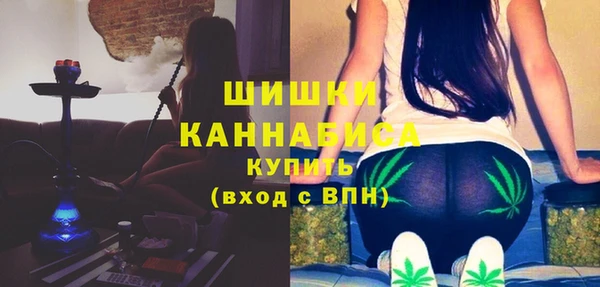 гидра Заволжск