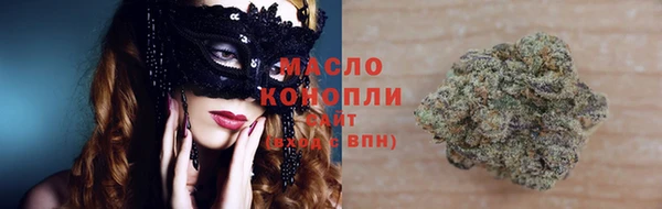 гидра Заволжск