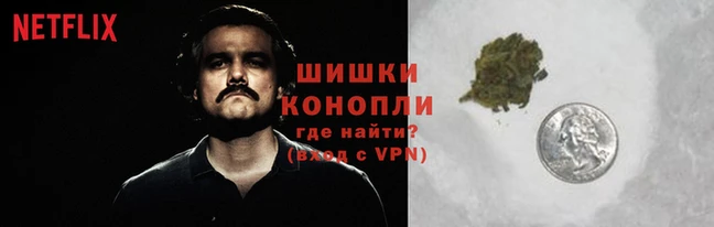 PSILOCYBIN Нижневартовск