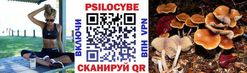 Купить закладки  Кузнецк  Галлюциногенные грибы MAGIC MUSHROOMS 
